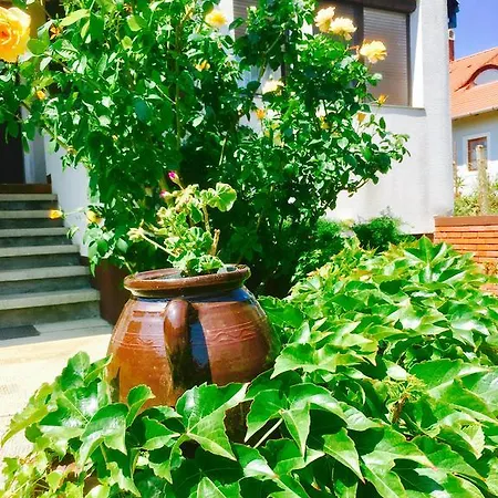 Rozsahegyi No.5 Daire
